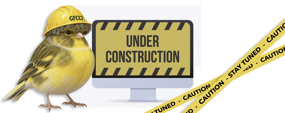 GFCCI Under Construction